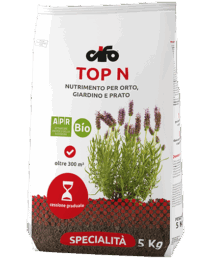 prodotto-cifo-top-N-min