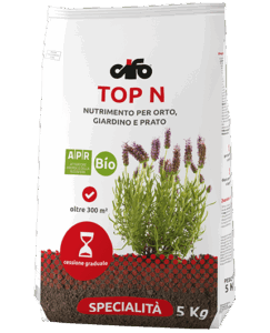 prodotto-cifo-top-N-min