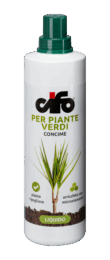 verdi-e1496932577168