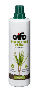 verdi-e1496932577168