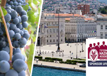 assoenologi_trieste assoenologi_trieste