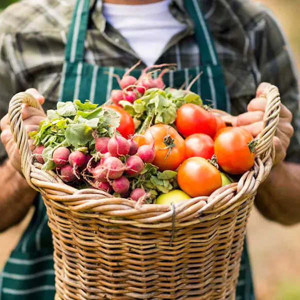 Cifo_Newsletter 5_2018 foto 1