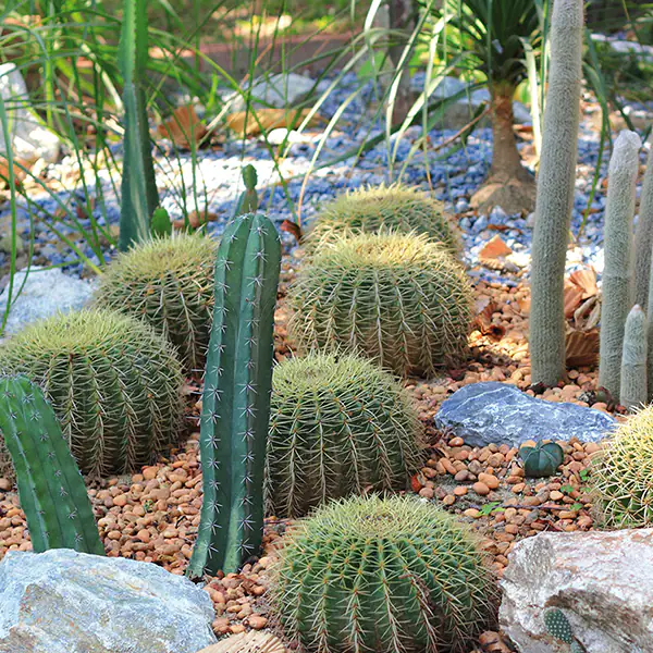 Cifo_Newsletter-9_2018--FOTO-1-QUADRATA Cifo_Newsletter-9_2018--FOTO-1-QUADRATA