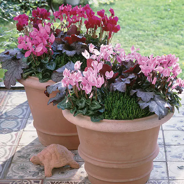 Organizzare le fioriture autunnali Organizzare le fioriture autunnali