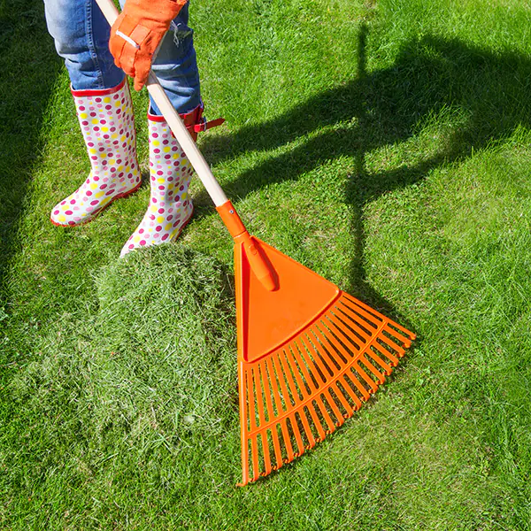 Preparare il prato al risveglio Preparare il prato al risveglio