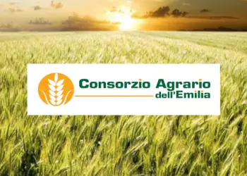 pianeta grano 2019