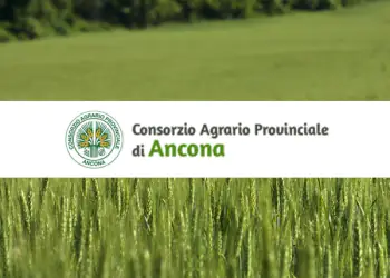 cap-Ancona