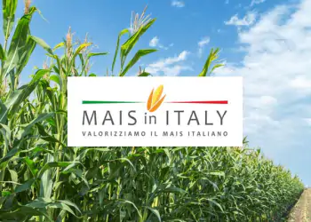 Cifo a Mais in Italy 2019 Cifo a Mais in Italy 2019
