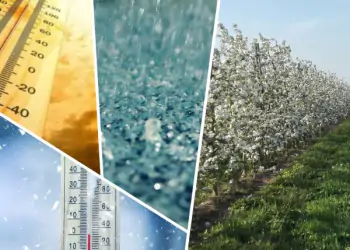 articolo-cambiamenti-climatici