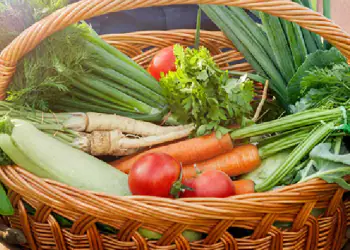 blog orto bio blog orto bio