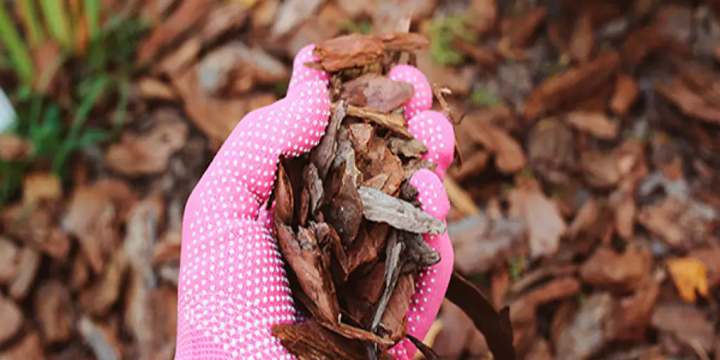 Cifo_Newsletter-29-2019 foto-striscia-2