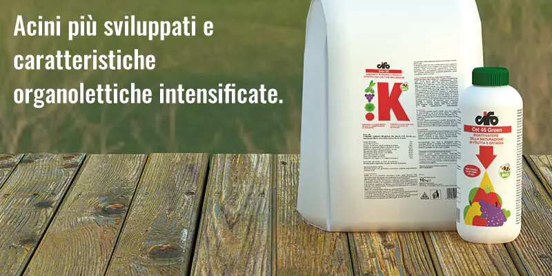 Acini-piu-sviluppati