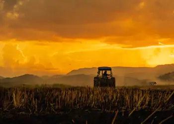 growing-in-exhausted-soils growing-in-exhausted-soils