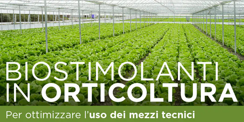 webinar-orticoltura webinar-orticoltura