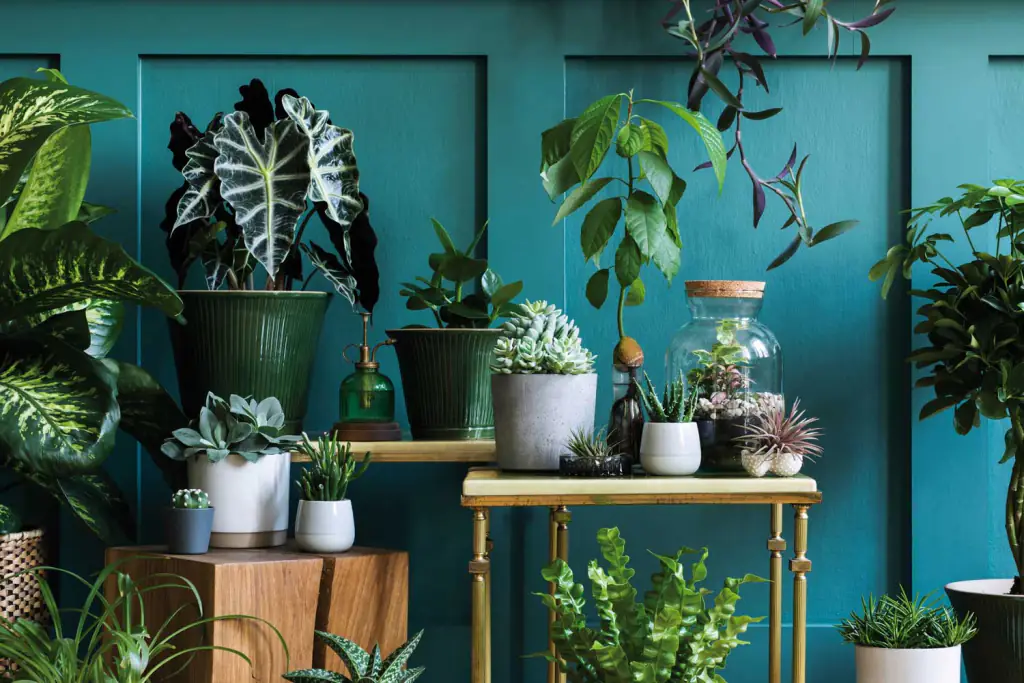 verde-indoor verde-indoor