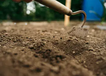 fertilità del terreno