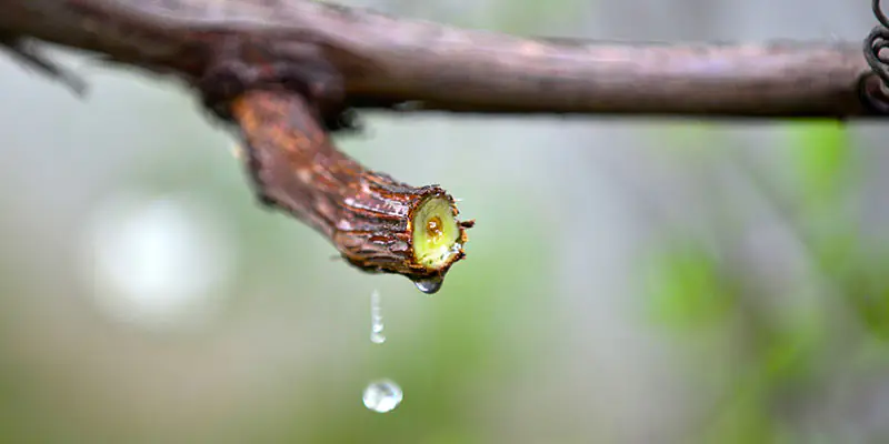 shutterstock_1714542721_BR shutterstock_1714542721_BR