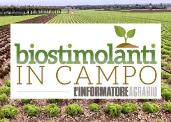 biostimolanti-in-campo biostimolanti-in-campo