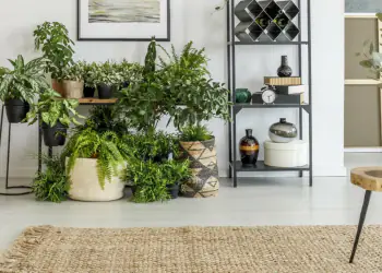 Vase,On,Wooden,Stool,On,Brown,Carpet,In,Living,Room