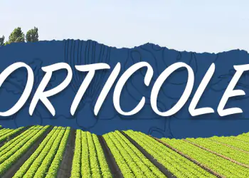 orticole-ridurre-gli-stress orticole-ridurre-gli-stress
