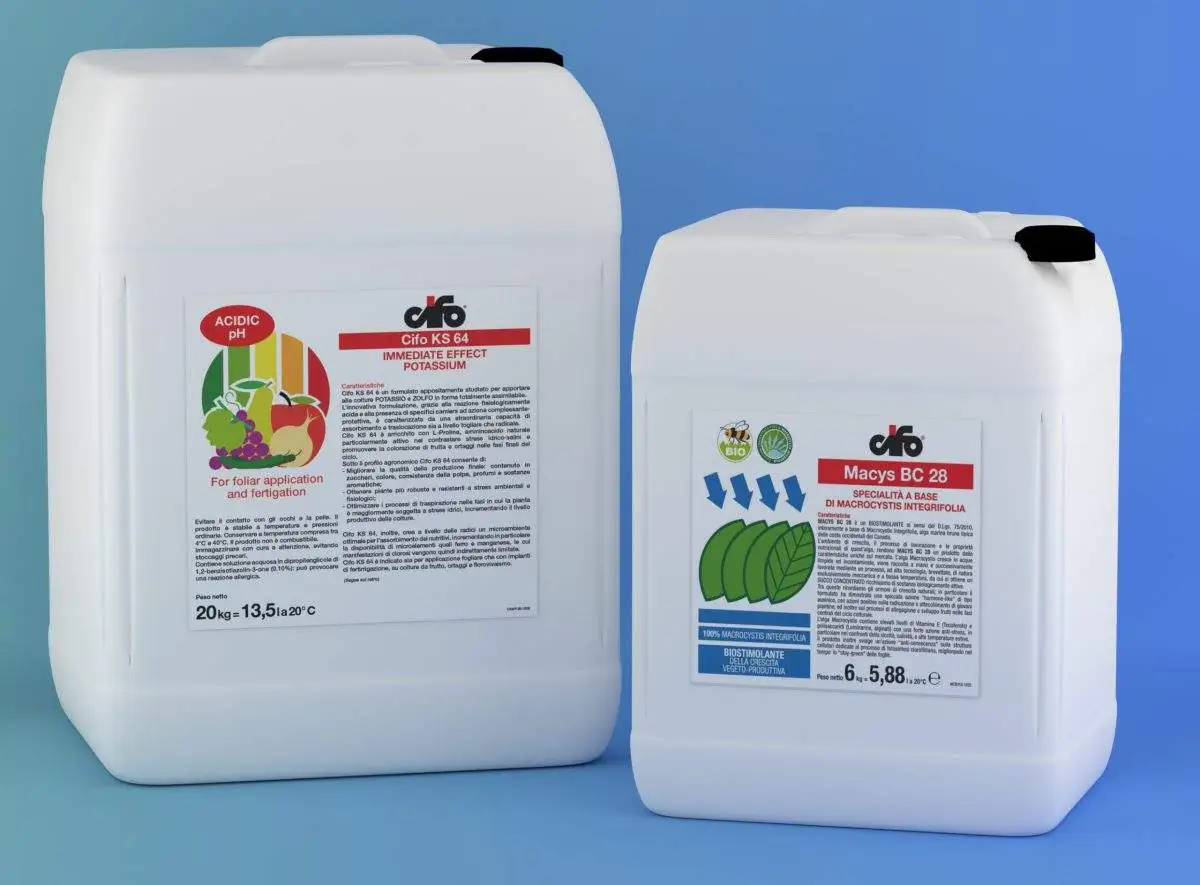 Macys BC 28: An effective solution against early frosts