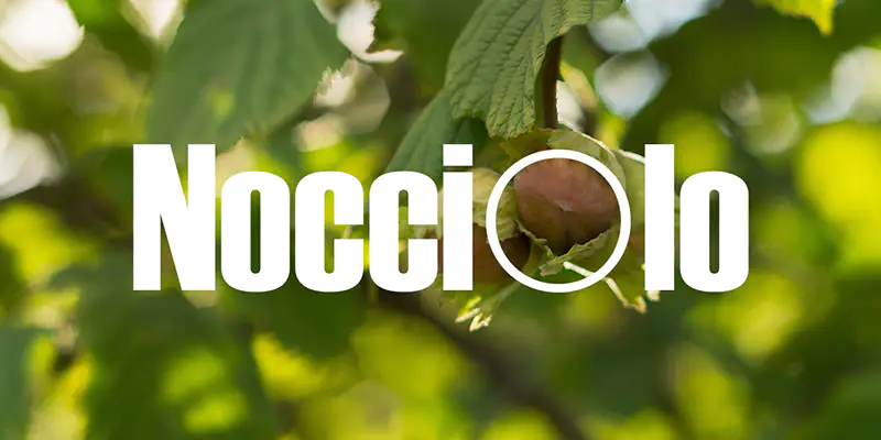 Magazine-nocciolo-800-400