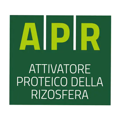 concimazione localizzata alla semina su grano