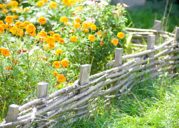 giardino in estate