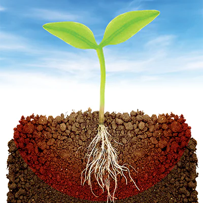 concimazione localizzata alla semina su grano