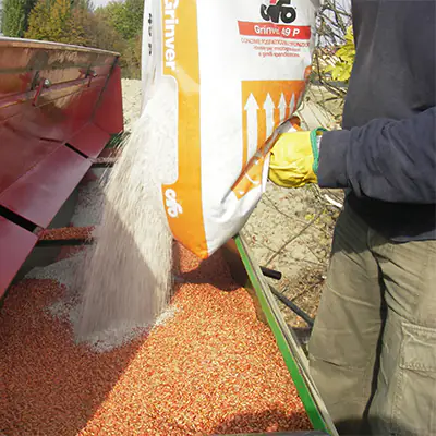 concimazione localizzata alla semina su grano