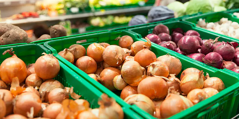 orticole-da-bulbo-magazine