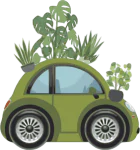 cifo-car