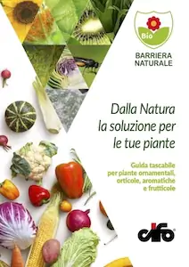 guida-cover-2025