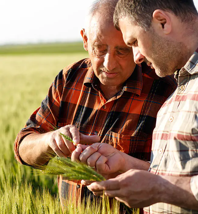 azienda-qualita-grano azienda-qualita-grano
