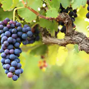 migliorare-allungamento-del-rachide