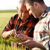 ob-agro-Incrementare-le-naturali-difese-delle-piante