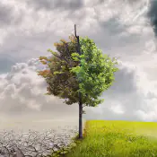 velocizzare-il-recupero-dagli-stress-ambientali velocizzare-il-recupero-dagli-stress-ambientali
