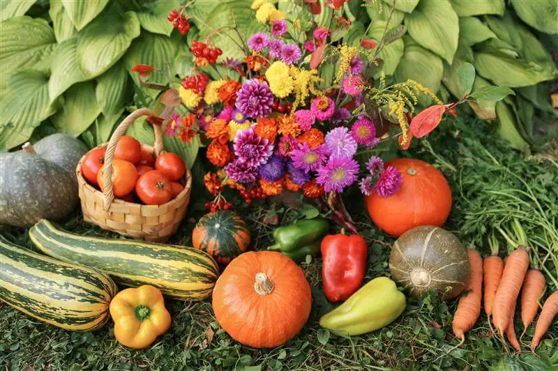 raccolto di fiori e ortaggi