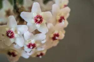 AdobeStock_1579553175 AdobeStock_1579553175