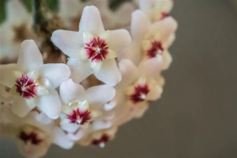 AdobeStock_1579553175