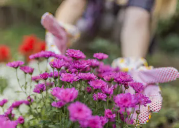 primavera-giardini-marzo_cifo giardinaggio2026