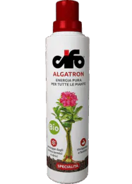 Algatron Algatron