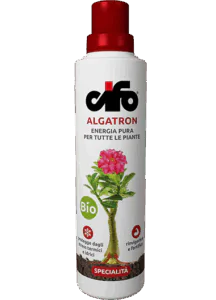 Algatron