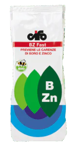 BZ-fast