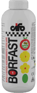 Borfast-1_webL