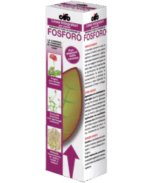 Fosforo Fosforo