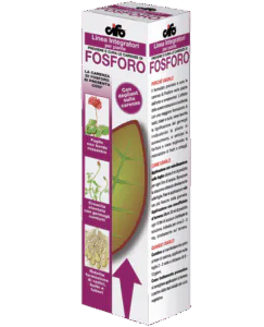 Fosforo Fosforo