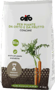 G_orto
