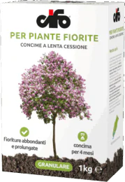 G_piante-fiorite-LC G_piante-fiorite-LC