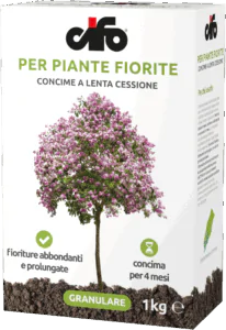 G_piante-fiorite-LC